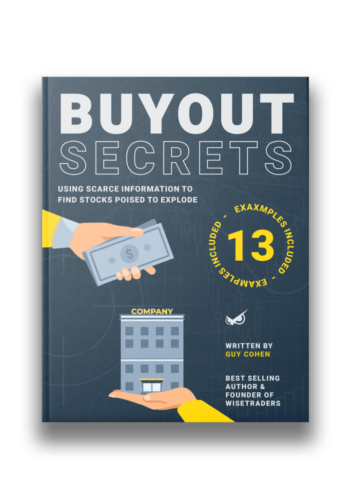 Buyout Secrets Ebook Front Cover